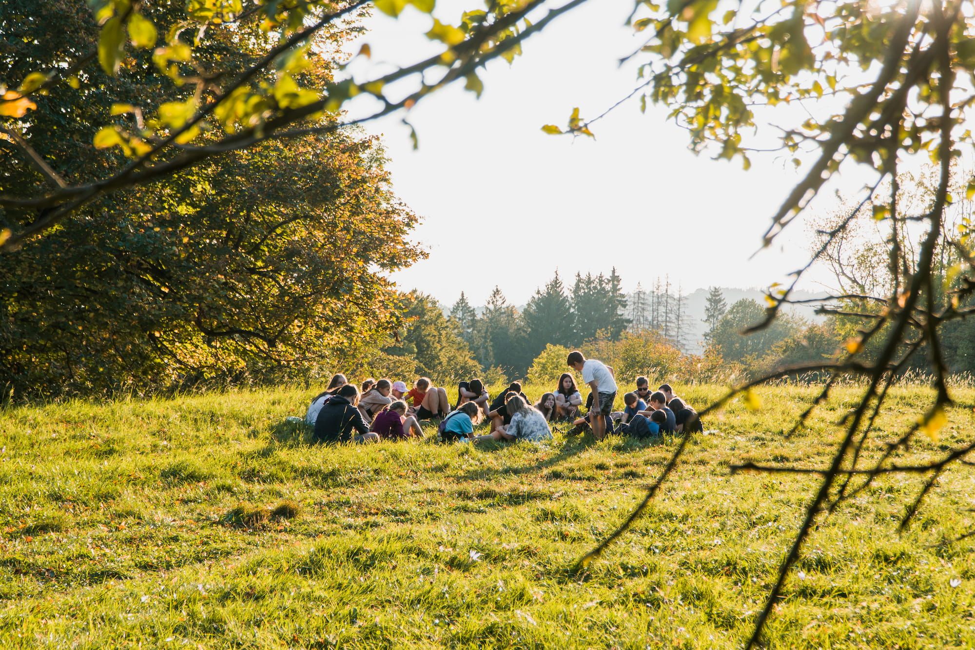 Skupina dětí sedí v kruhu na travnatém poli obklopeném stromy, sluneční paprsky prosvítají skrz větve – klasická scéna ze skautského dobrodružství.